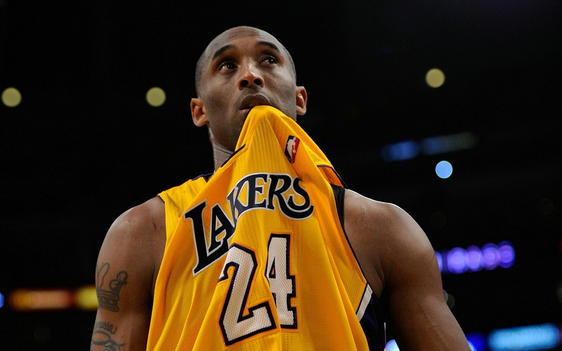 类似的行动 类似的行动